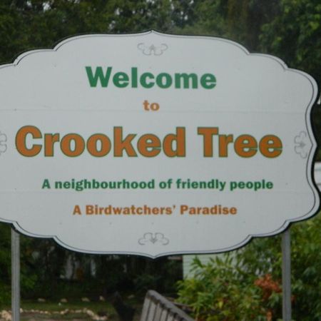 Becks Bed & Breakfast Crooked Tree エクステリア 写真