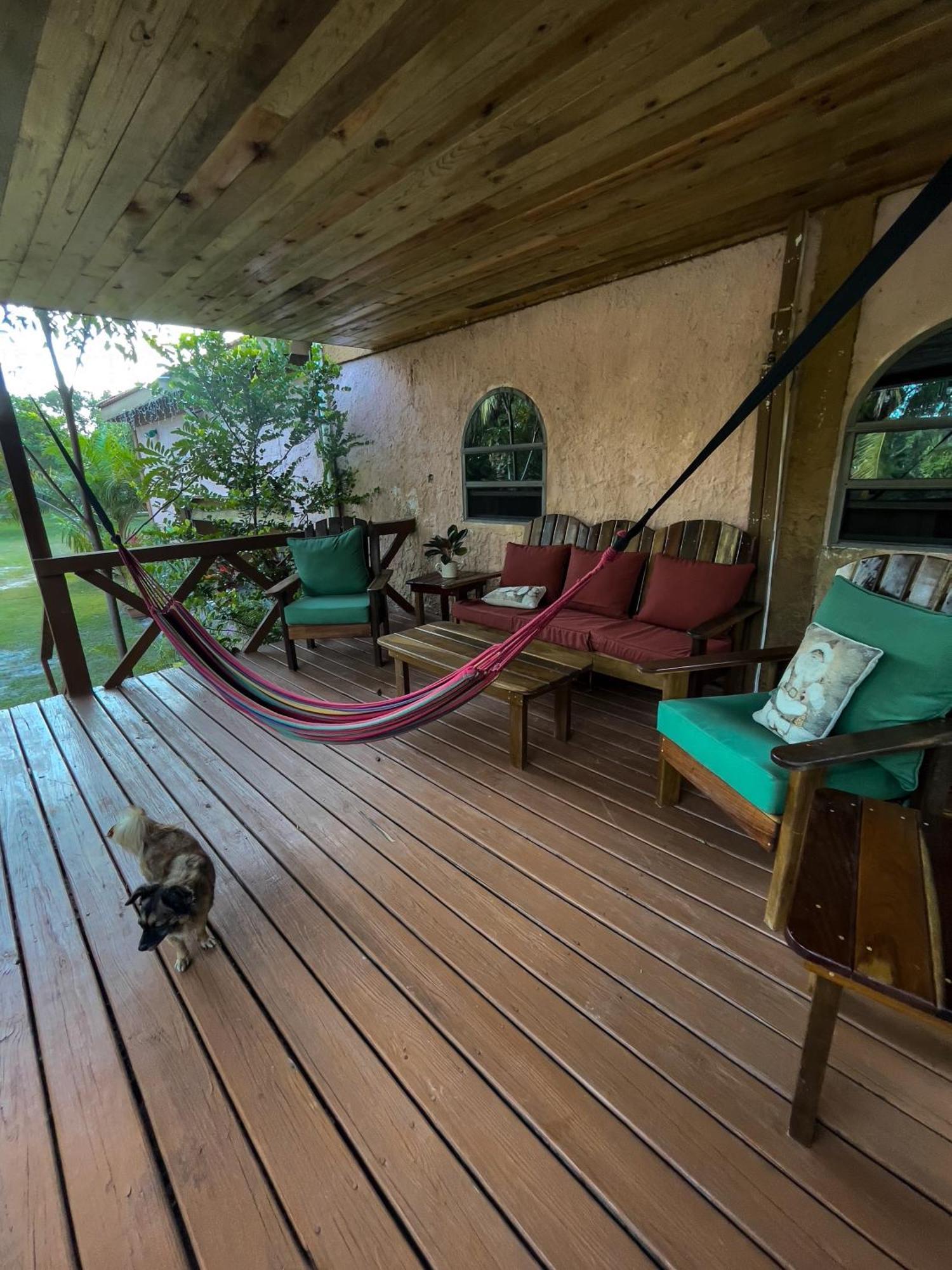 Becks Bed & Breakfast Crooked Tree エクステリア 写真