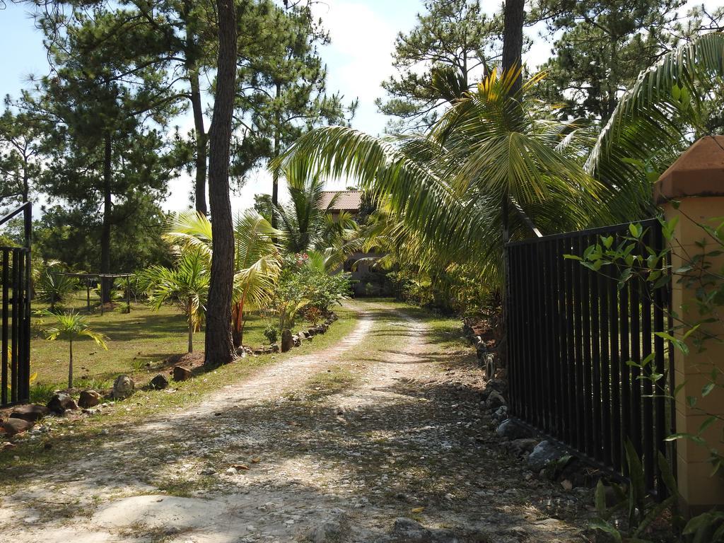 Becks Bed & Breakfast Crooked Tree エクステリア 写真