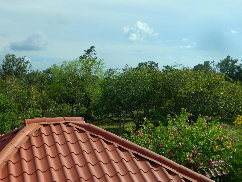 Becks Bed & Breakfast Crooked Tree エクステリア 写真