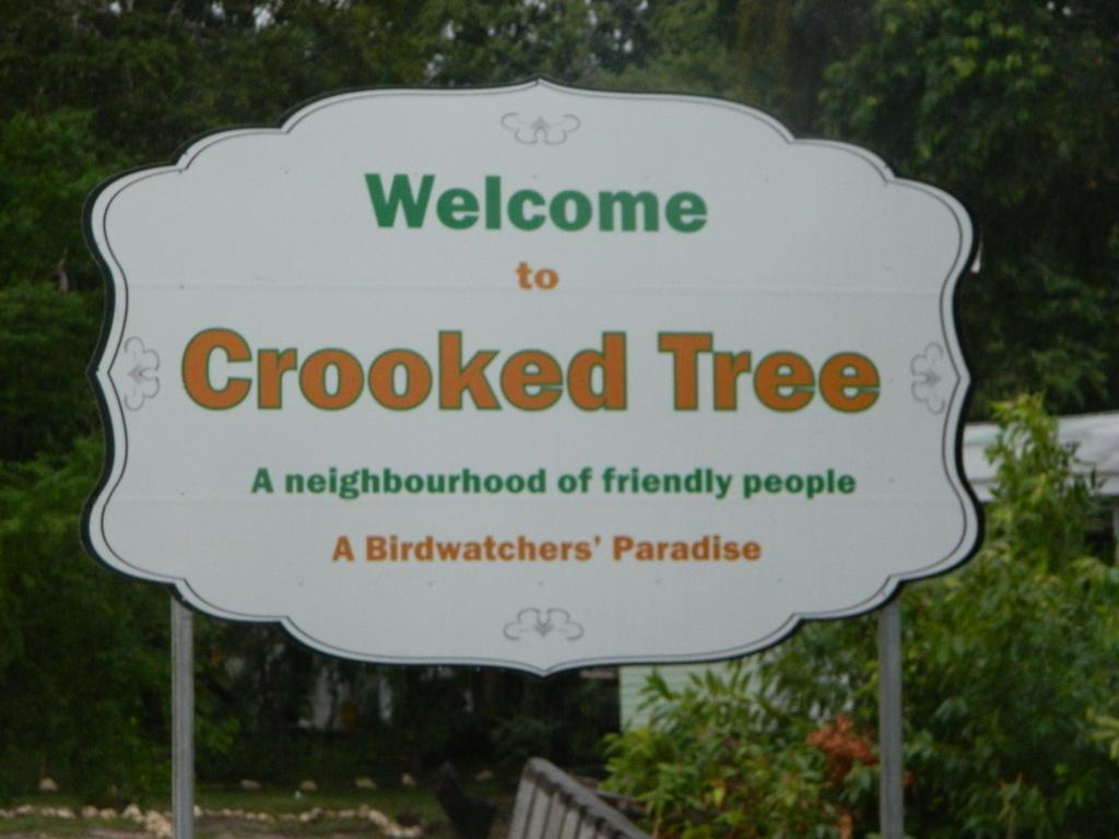 Becks Bed & Breakfast Crooked Tree エクステリア 写真