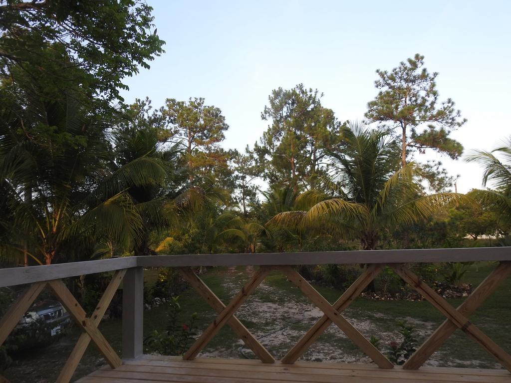 Becks Bed & Breakfast Crooked Tree エクステリア 写真
